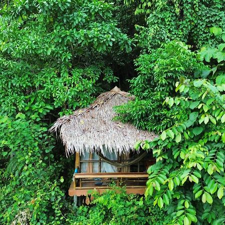 Thejungleguide - Lodges & Treks Bukit Lawang Exterior photo