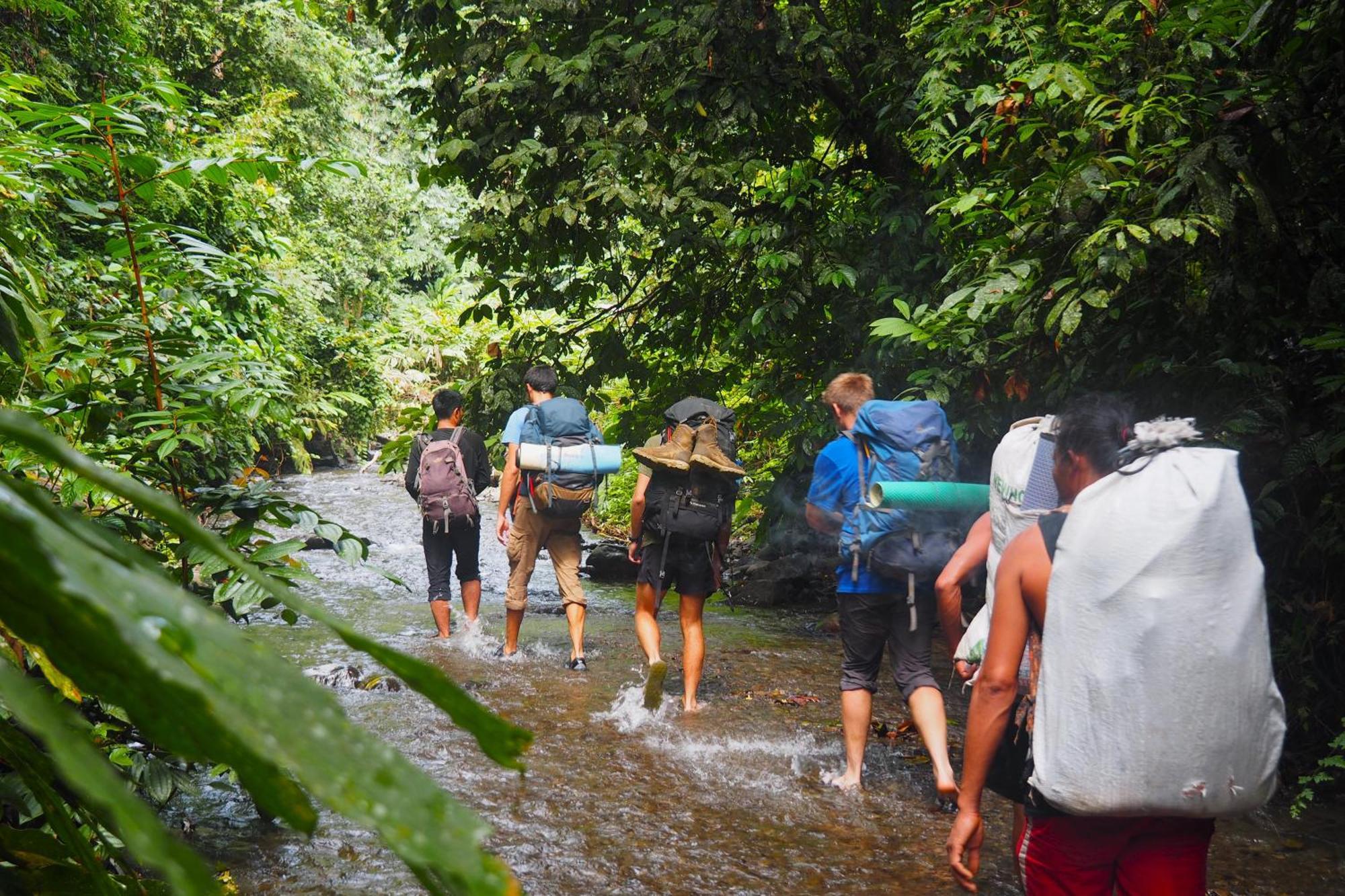 Thejungleguide - Lodges & Treks Bukit Lawang Exterior photo